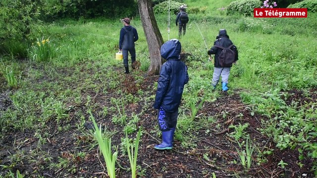 A la découverte des plans d’eau de la Bretagne intérieure. Jugon-les-Lacs