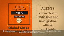 Visa stickers for sale |How to get a US visa| how to apply for canada visa STICKERS