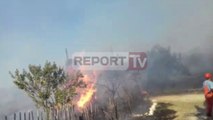 Report Report TV - Fier,zjarri përfshin dhjetra rrënjë ullinj,në rrezik disa banesa