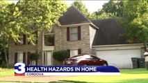 Family's Dream Home Turns into Termite-Infested Nightmare