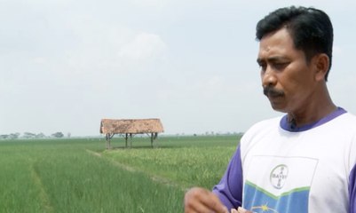 Pompa Liar untuk Pengairan - Jejak Kasus