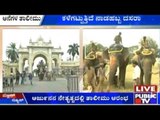 Mysore: Dasara Elephants Undergo Training