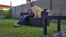 Clever dog fetches beer and shoes for owner