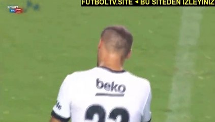 Cenk Tosun Goal vs Schalke (3-1)