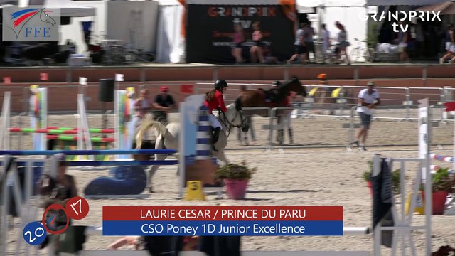 CSO Poney 1D Junior Excellence