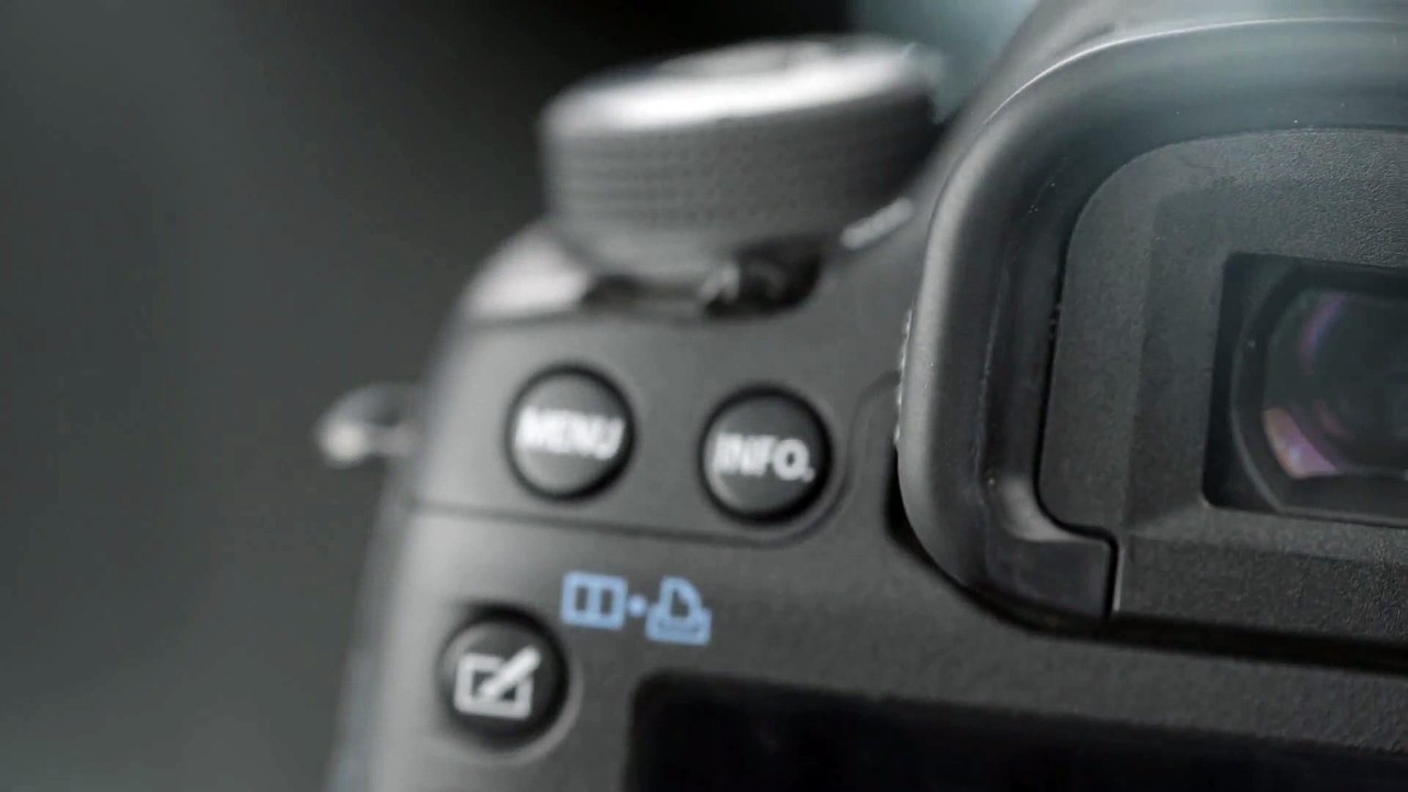 Für alle Fotoliebhaber dort draussen. So kann deine Logoeinblendung aussehen