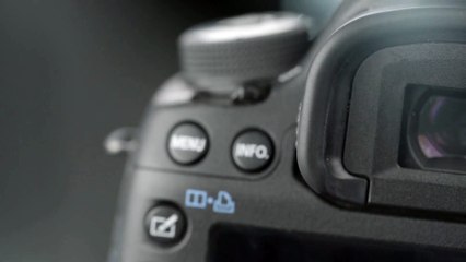 Für alle Fotoliebhaber dort draussen. So kann deine Logoeinblendung aussehen