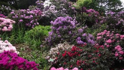 Wspomnienia z  lat 2016 - 2017 pobyt w Międzyzdrojach, Górze Świętej Anny , Kamieńcu Śląskim  oraz inne