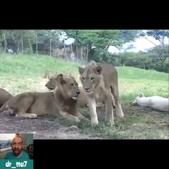 OMG! Did you Feel 1000w current ? DailyFun Zone