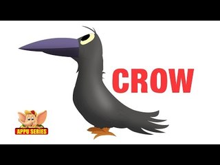 Animal Sounds - Crow