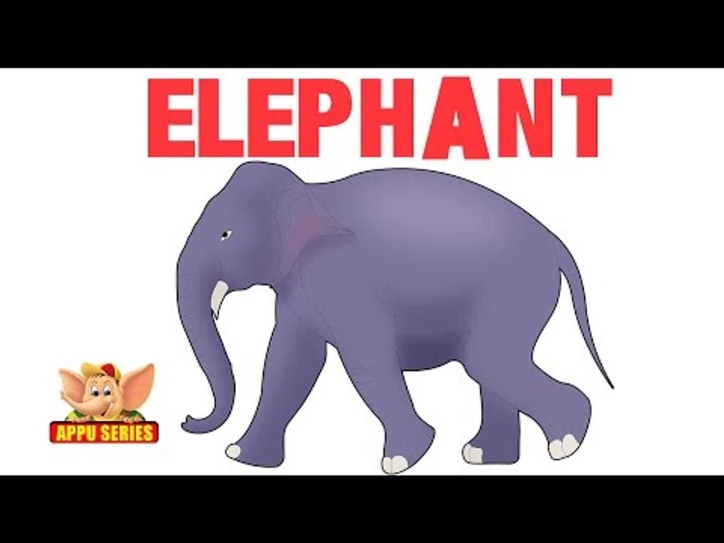 Top 199 + Animals name and their sounds in english