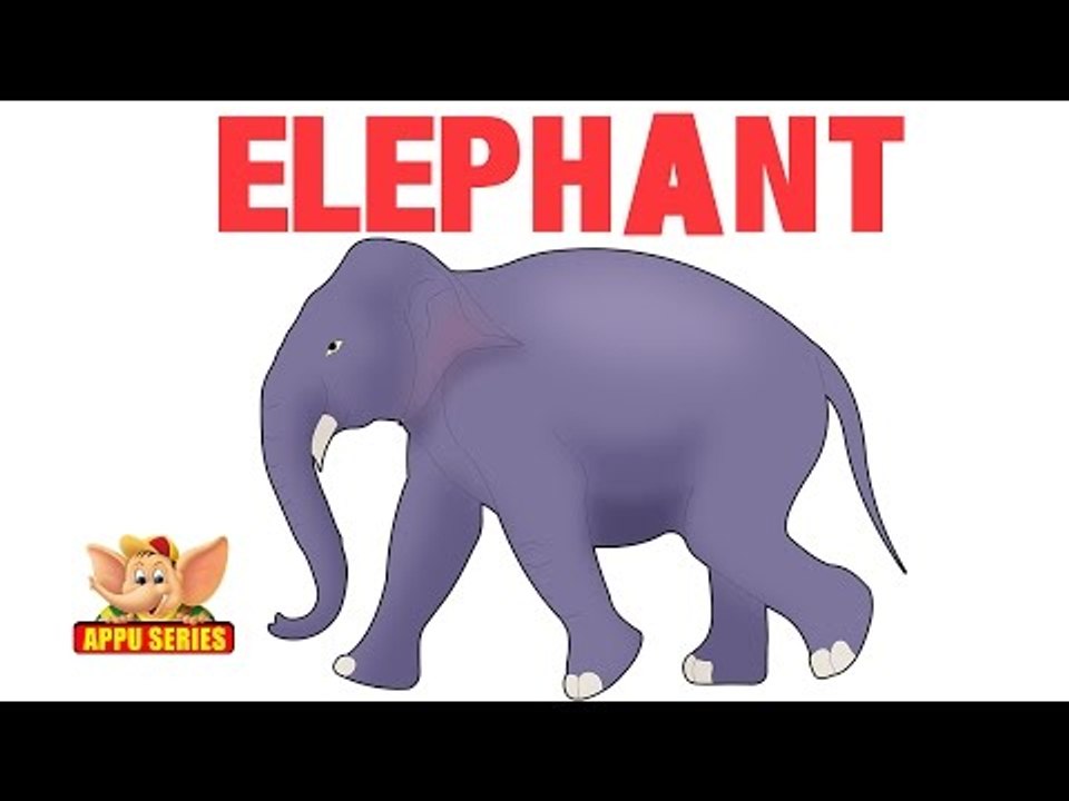 Animal Sounds - Elephant - video Dailymotion