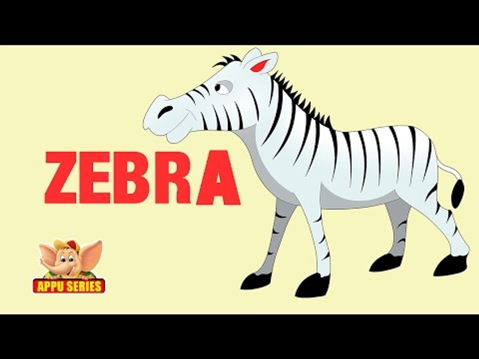 Animal Sounds - Zebra - video Dailymotion