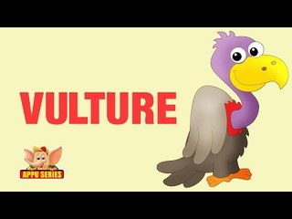 Animal Sounds - Vulture