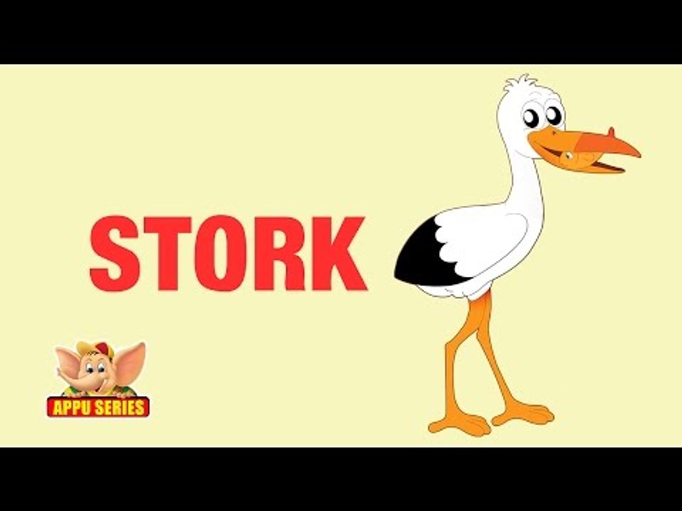 Animal Sounds - Stork