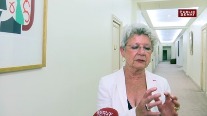 Dominique Gillot : « Un manuel pour témoigner de ce qu’est l’intelligence artificielle aujourd’hui »