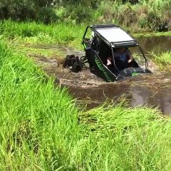 Manteve a calma mesmo quase submerso em lama!