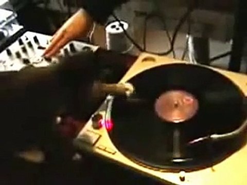 DJ Cat - это стоит посмотреть | DJ Cat