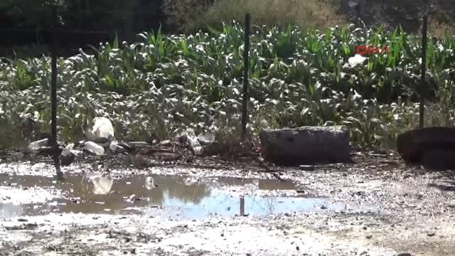 Çanakkale Bayramiç Selin Yaşandığı Bölgede Vali Incelemelerde Bulundu Ek