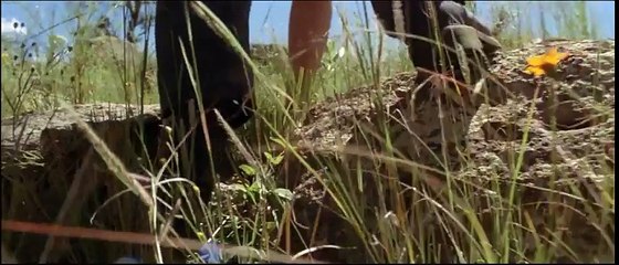 Lumière Silencieuse (2007) VF (366p_25fps_H264-128kbit_AAC)