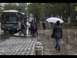 Las lluvias continuarán el resto de la semana | Noticias con Francisco Zea