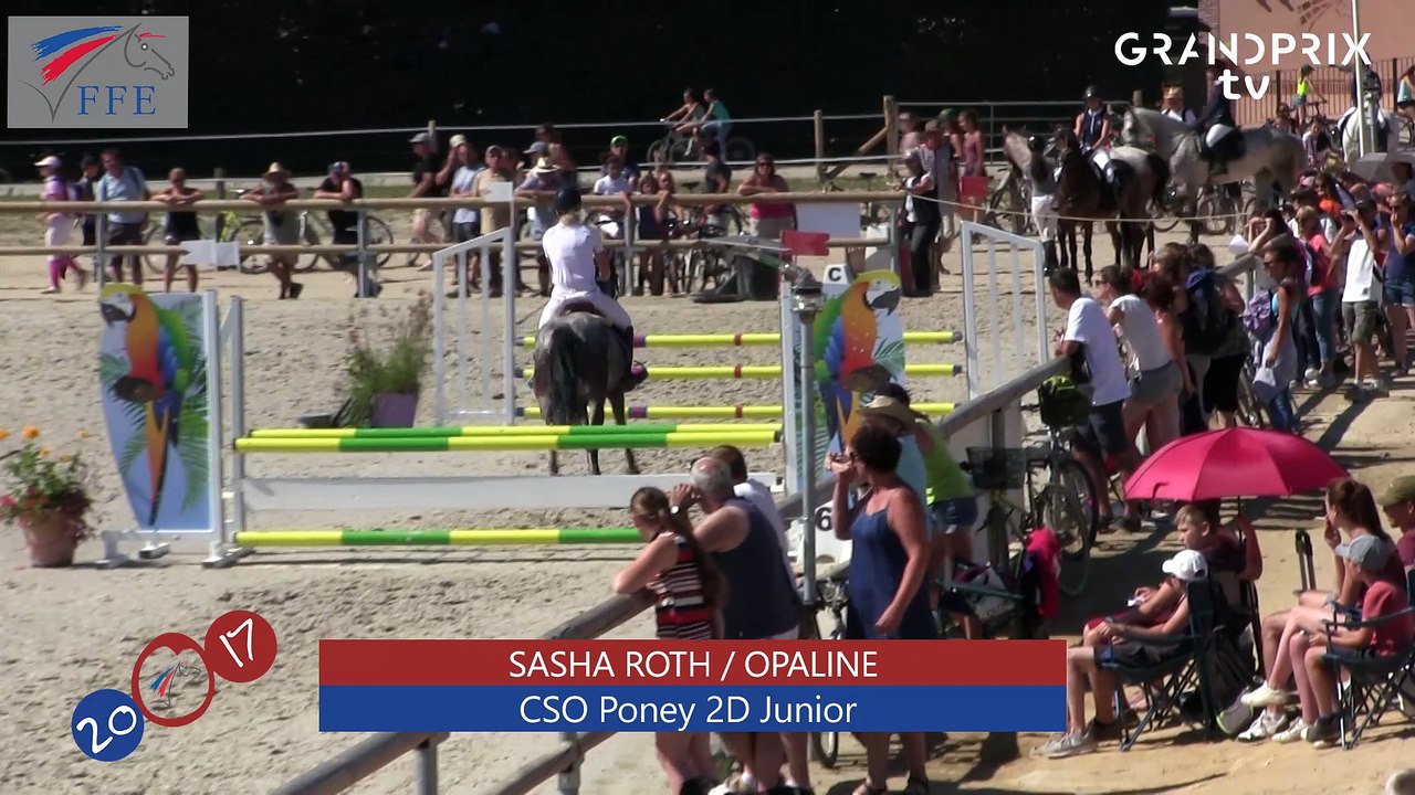 CSO Poney 2D Junior