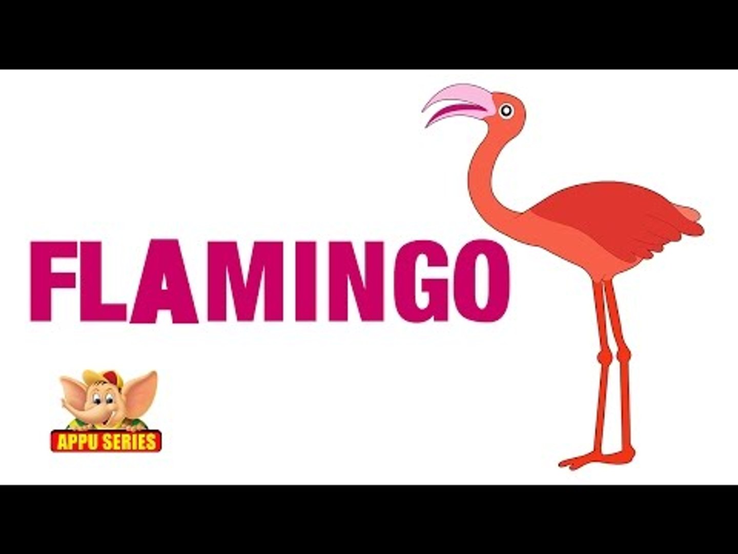 Animal Sounds - Flamingo - video Dailymotion