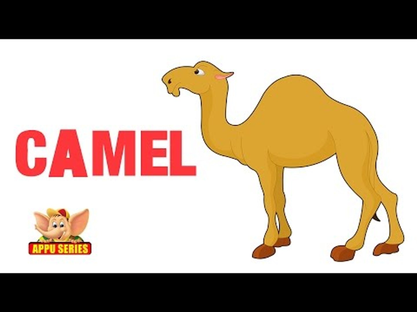 Animal Sounds - Camel - video Dailymotion