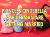 PRINCESS CINDERELLA & SPIDERMAN GET MARRIED SKYE PAW PATROL DISNEY GIDGET TSLOP  Toys BABY Videos MARVEL , NICKELODEON T