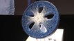 This 3D-printed airless concept tire will never go flat