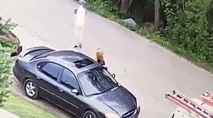 Une femme filmé en train de rayer une voiture avec une clé !!
