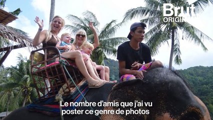 La face sombre du trekking à dos d’éléphant