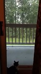 A little shaken after being struck by lightning