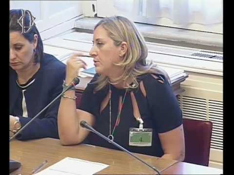 Roma - Risorse idriche ad uso irriguo, audizione esperti (18.07.17)