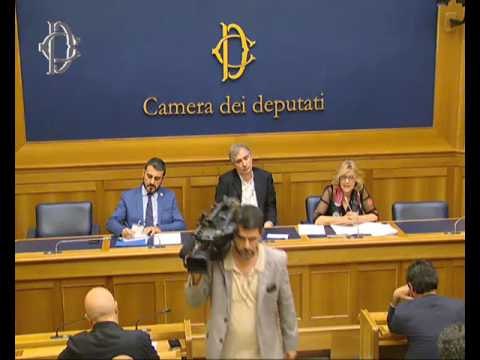 Roma - Incendi - Conferenza stampa di Nicola Fratoianni (18.07.17)