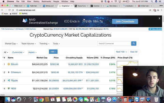 Cryptocurrency - Initial Coin Offerings (ICOs)