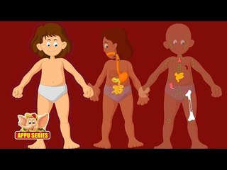 Learn Human Body - Cardiovascular System