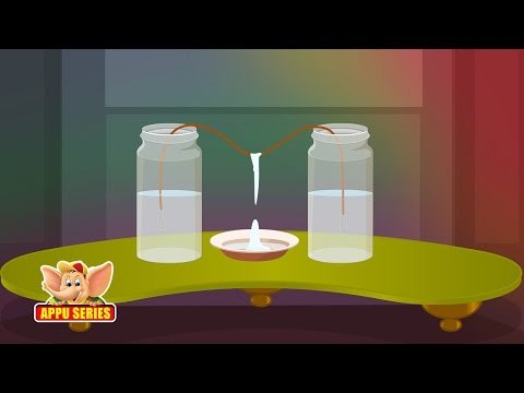 Learn Science through Home Experiments - Grow a Stalactite