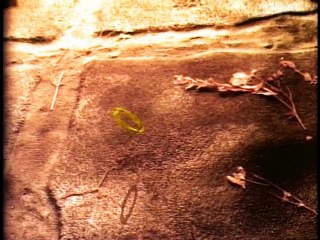 El Narrador de Cuentos | La Verdadera Esposa