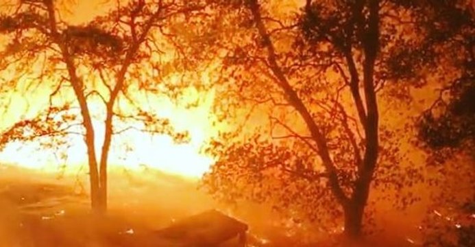 More Evacuations Issued as Firefighters Continue to Battle Detwiler Fire Near Yosemite