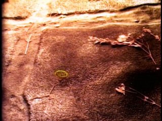 El Narrador de Cuentos | Un Gigante Sin Corazón