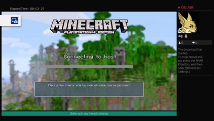 Minecraft Building Challenges (23)