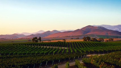 Santa Ynez Water Softener System