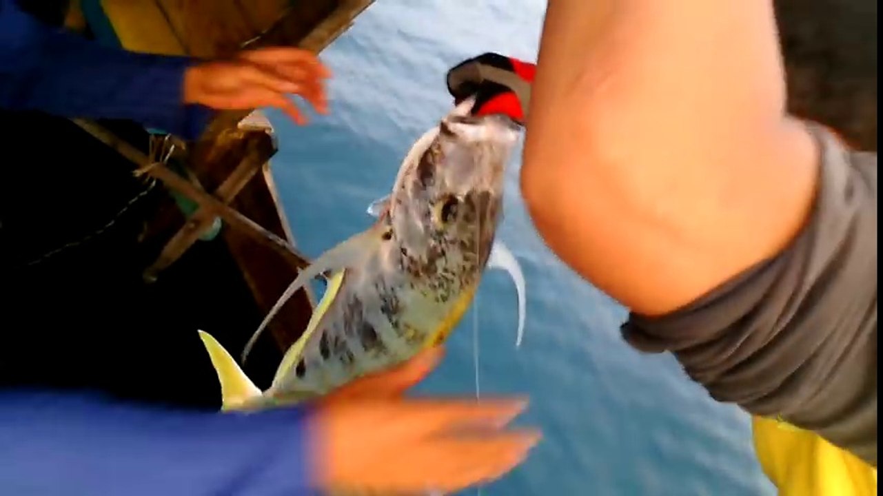 Great fishing hunt