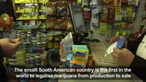 Uruguay pharmacies start selling pot