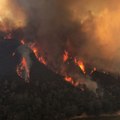 California's Detwiler Wildfire Forces Thousands From Their Homes