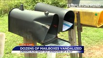 Dozens of Virginia Residents Upset After Mailboxes Destroyed