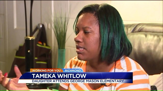 Concerned Teachers, Parents Call Virginia Elementary School `Bug-Infested`