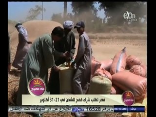 #هذا_الصباح | مصر تطلب شراء قمح للشحن في 21 - 31 أكتوبر