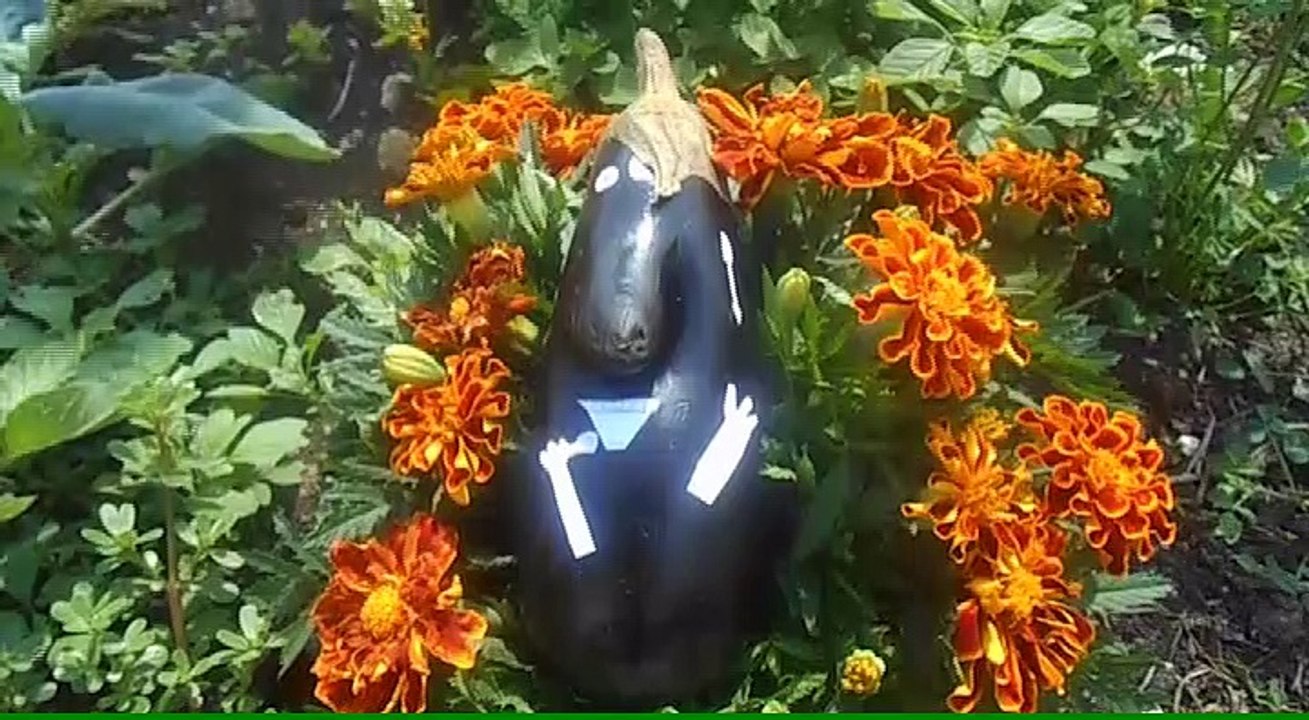 Les aventures de Robert Gine